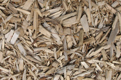 biomass boilers Glaspwll
